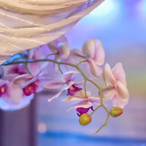  Oda ve Kahvaltı Dream & Relax Fiore